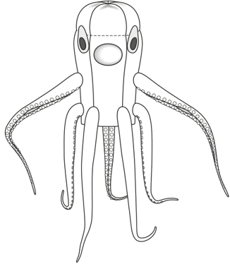 Children's Octopus Costume 01/2011 | PDF Sewing Pattern