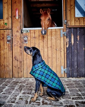 wollenstof mantel voor hond 133 | Burda Style 12/17 | PDF naaipatronen