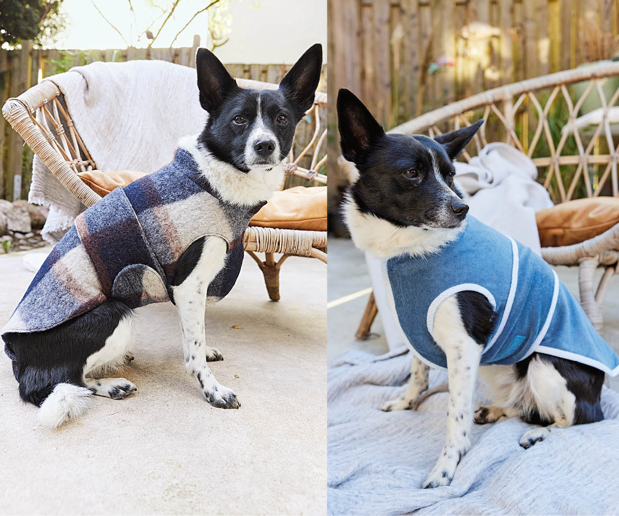 Dog coat Dog coat